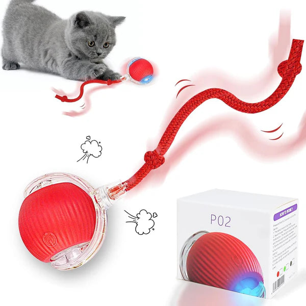 Smart Automatic Pet Ball Toy
