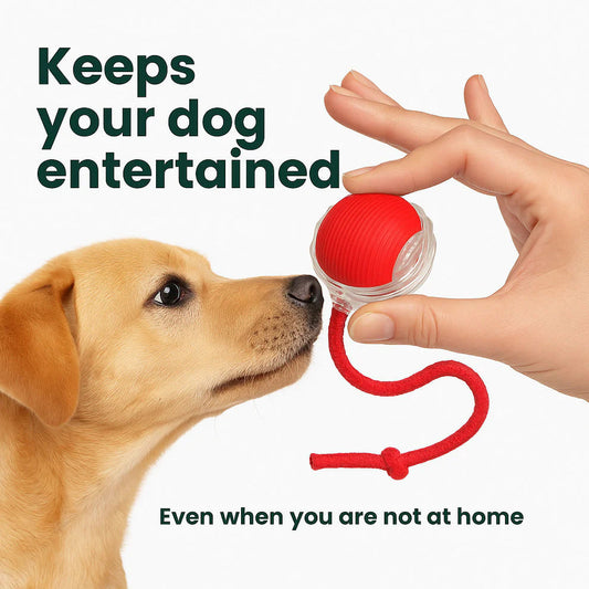 Smart Automatic Pet Ball Toy
