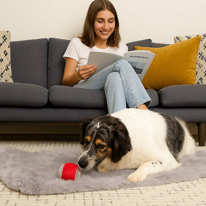 Smart Automatic Pet Ball Toy